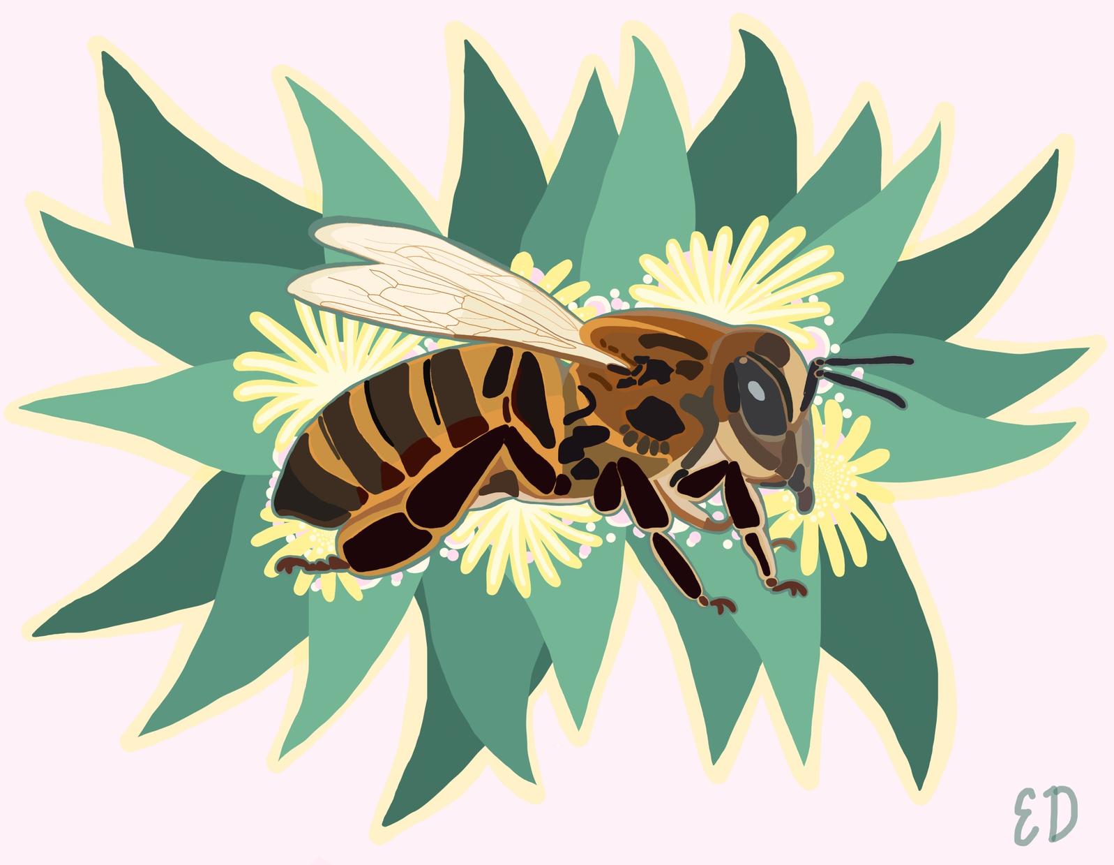 Bee Graphic