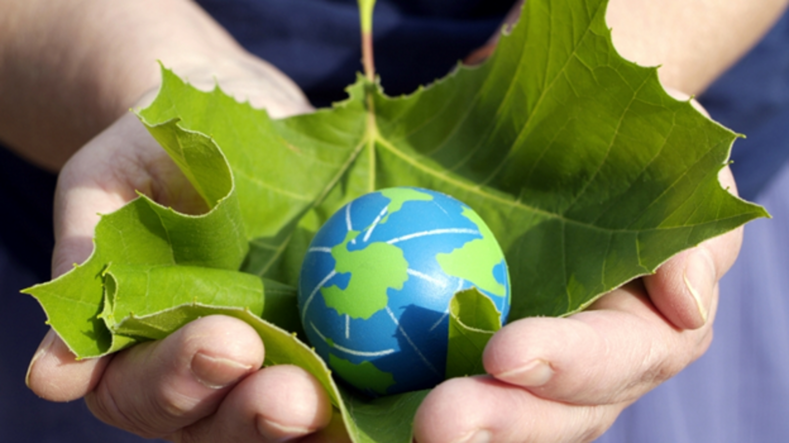 globe in leaf