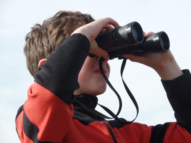 Youth Winter Bird Count