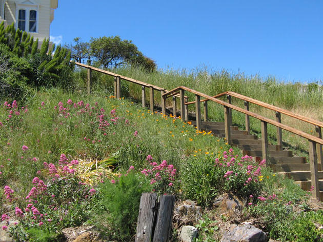 Demonstration Native Plant & Pollinator Gardens