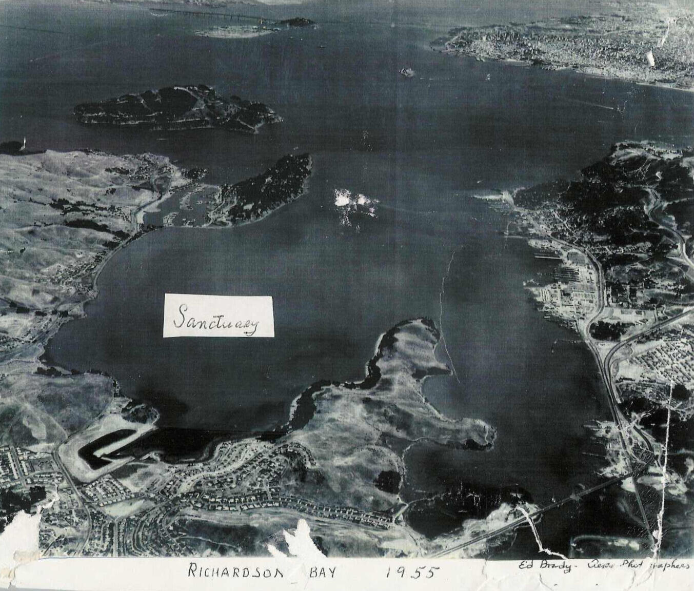 An aerial photo of Richardson Bay in 1955.