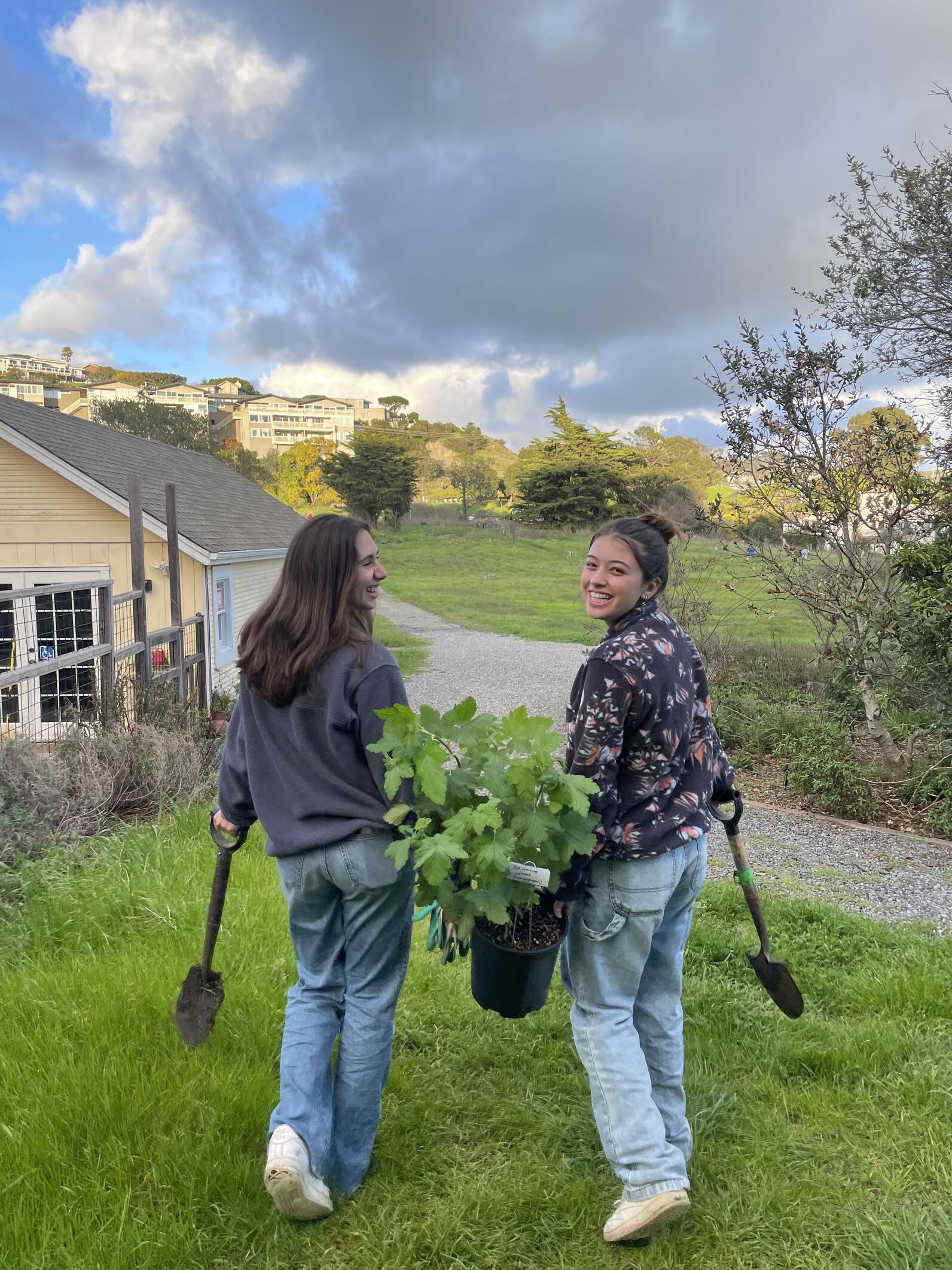 AYL Interns Planting Native Plants in the Demonstration Gardens