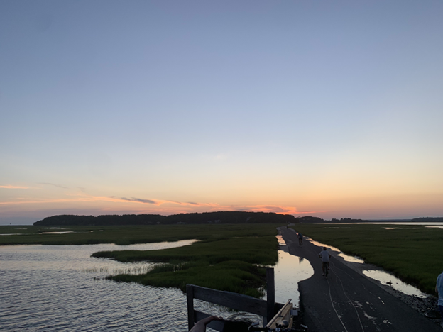 Bridge over Lieutenant island