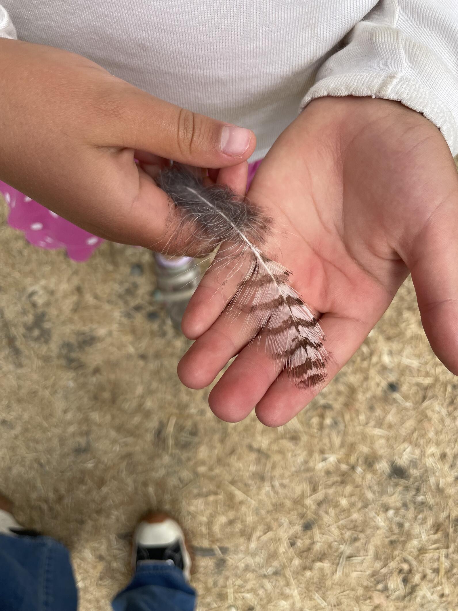 A child holding a feather.