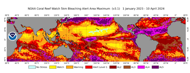 Coral Bleaching