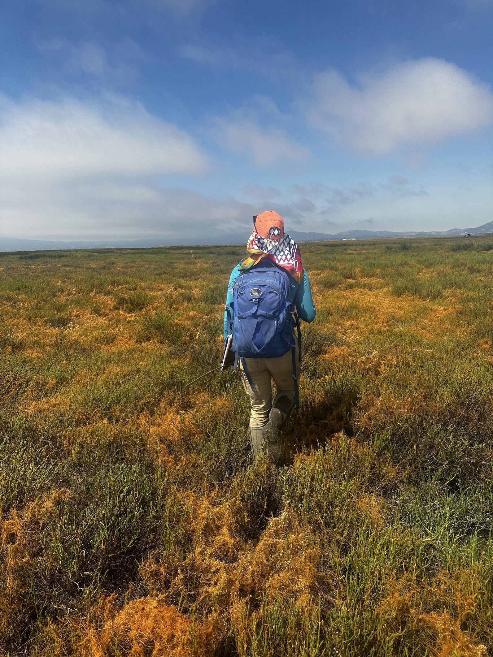 Paige Fernandez scoping out our next survey transect on the Sonoma Creek Project