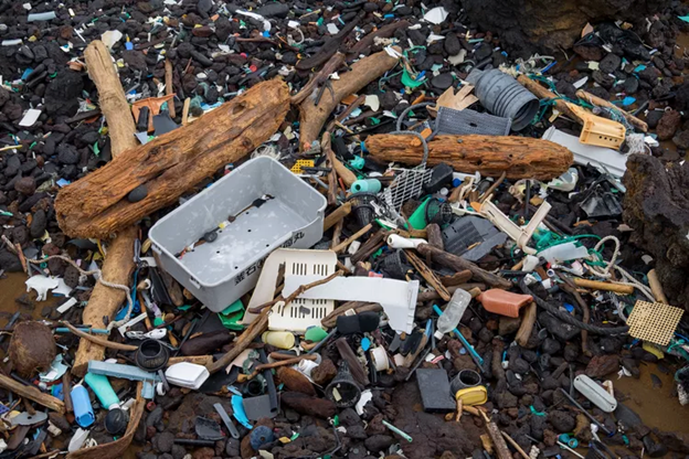 Ocean Plastic Debris