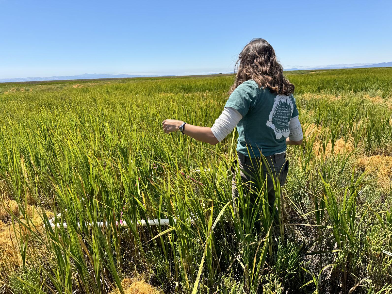 Helping Paige with Vegetation Monitoring