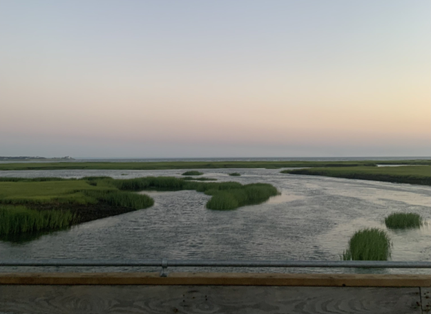 The rising waters over Lieutenant Island