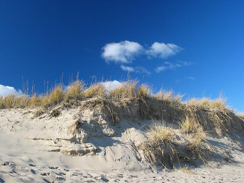 dune a Cape Cod