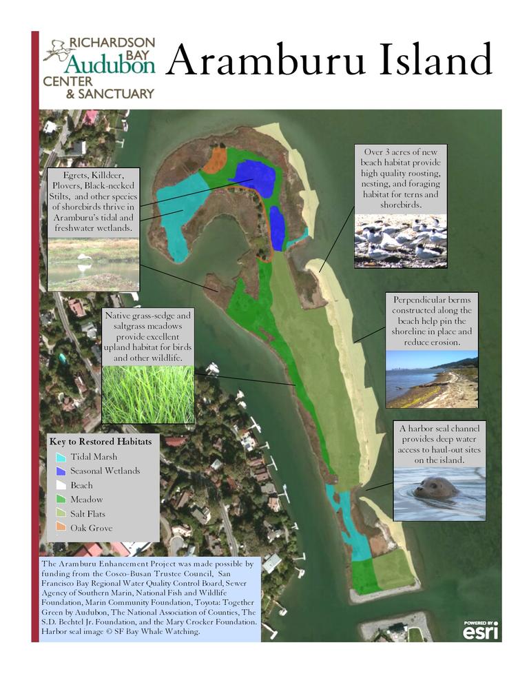 Aramburu Island | Richardson Bay Audubon Center